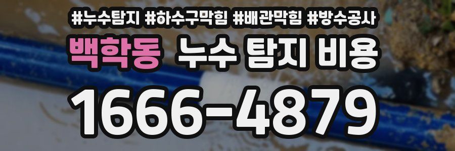 백학동 누수 탐지 비용