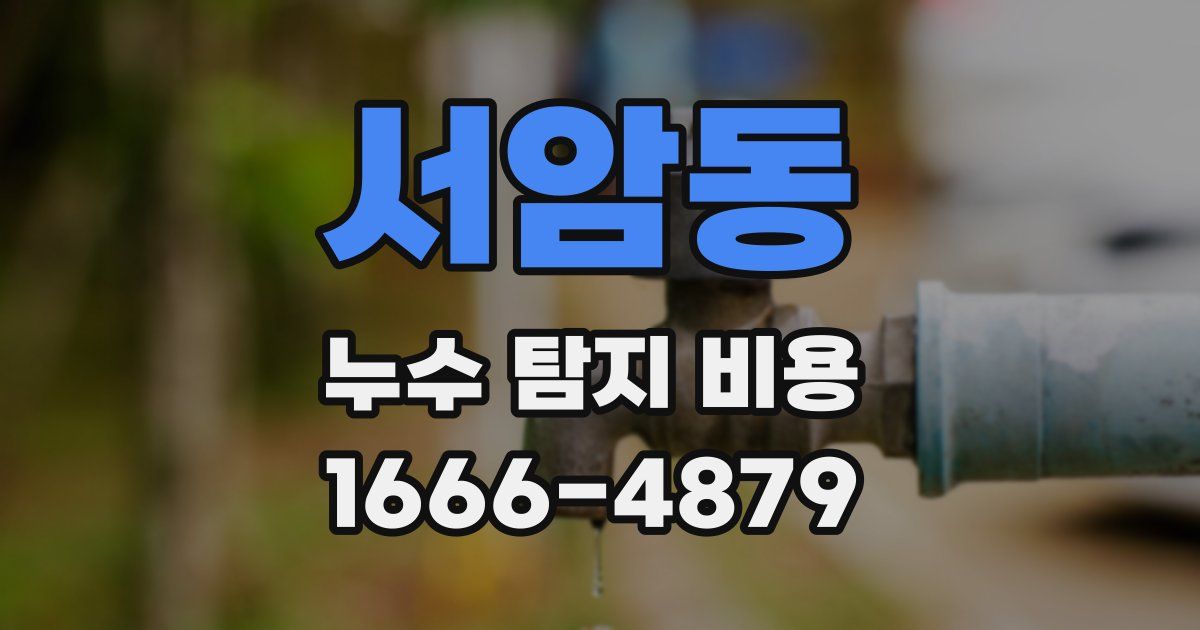 서암동 누수 탐지 비용