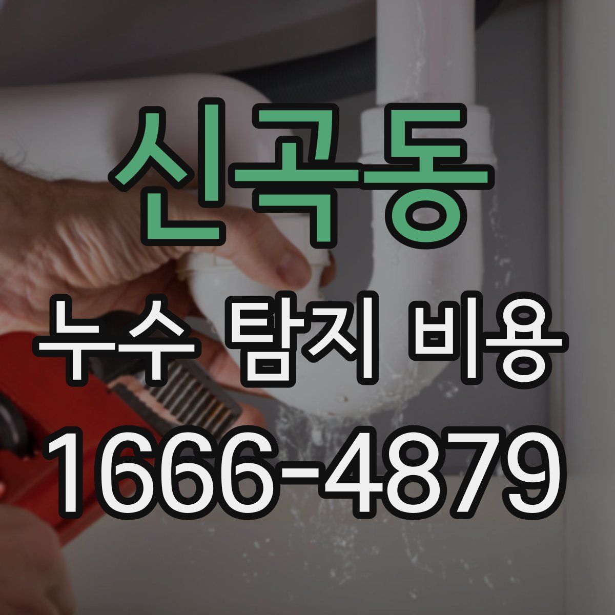 신곡동 누수 탐지 비용