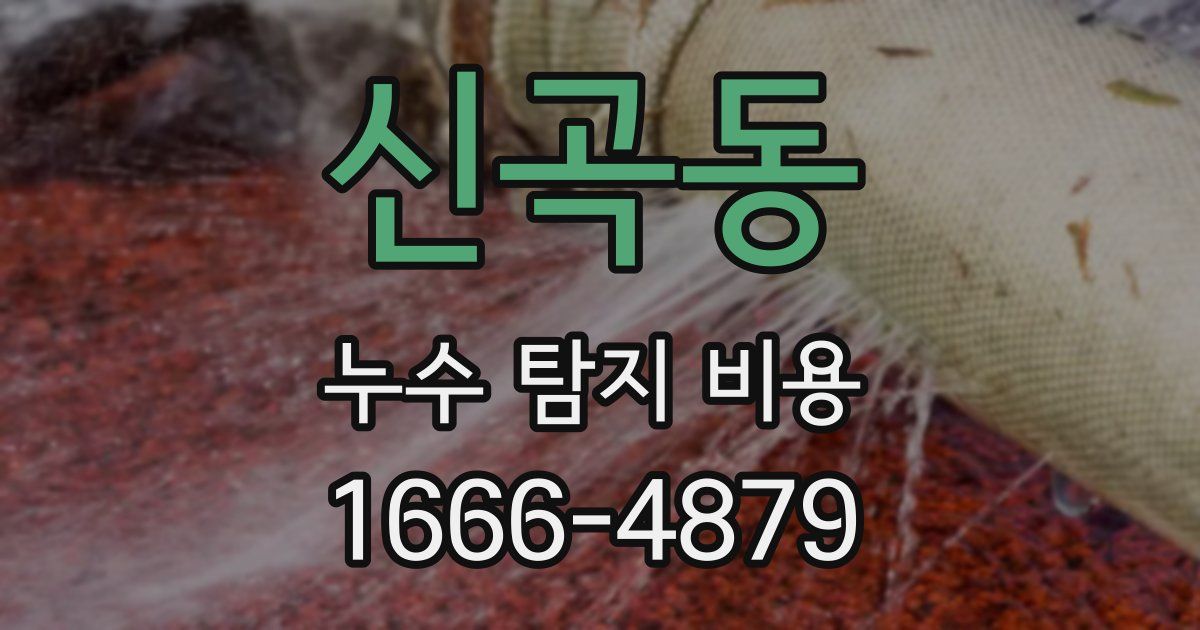 신곡동 누수 탐지 비용