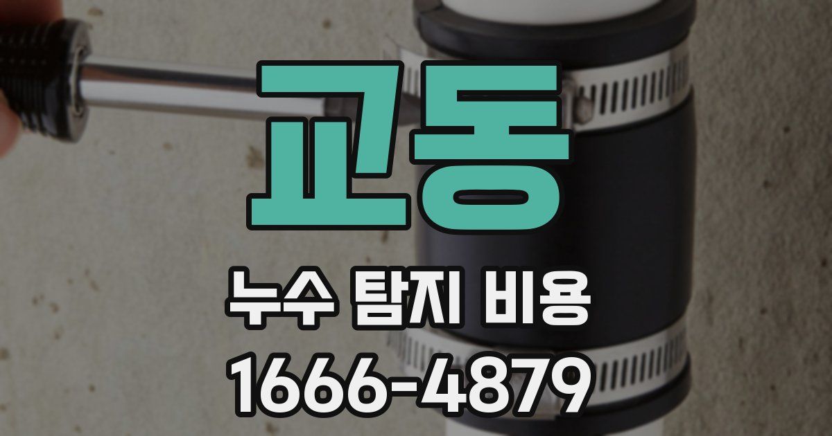 교동 누수 탐지 비용