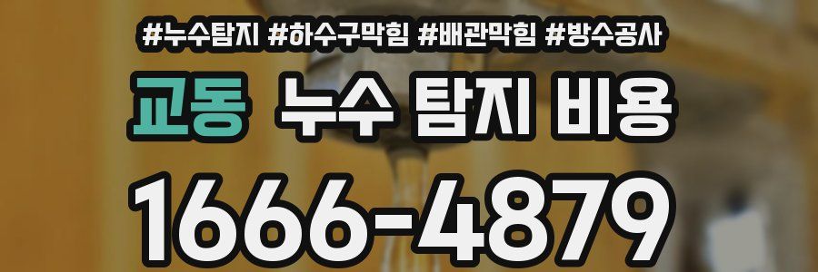 교동 누수 탐지 비용