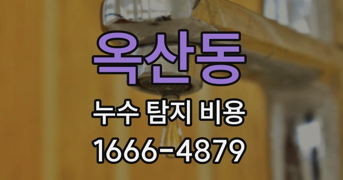 옥산동 누수 탐지 비용