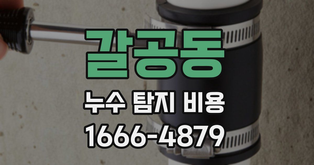 갈공동 누수 탐지 비용