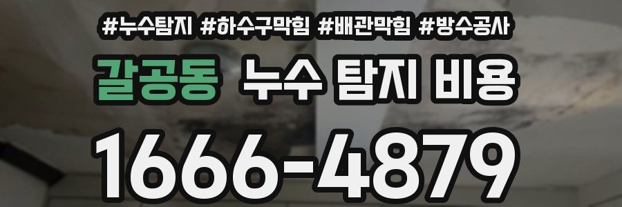 갈공동 누수 탐지 비용