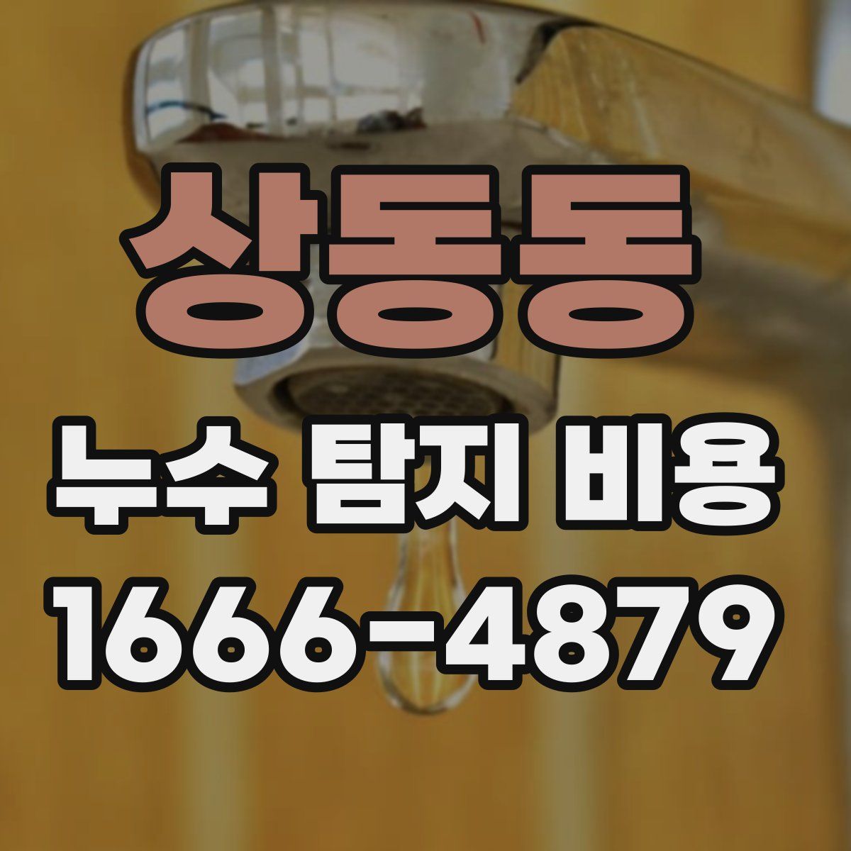 상동동 누수 탐지 비용