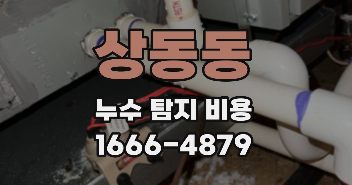 상동동 누수 탐지 비용