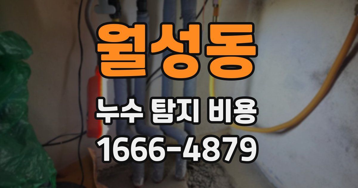 월성동 누수 탐지 비용