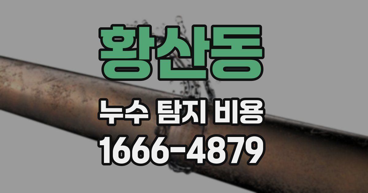 황산동 누수 탐지 비용