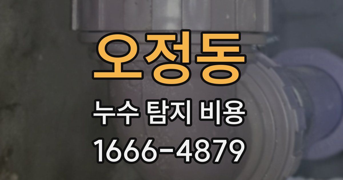 오정동 누수 탐지 비용