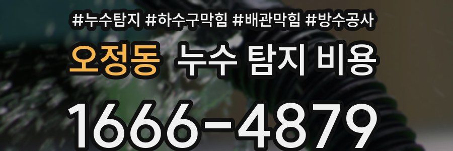 오정동 누수 탐지 비용