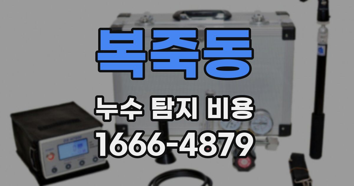 복죽동 누수 탐지 비용