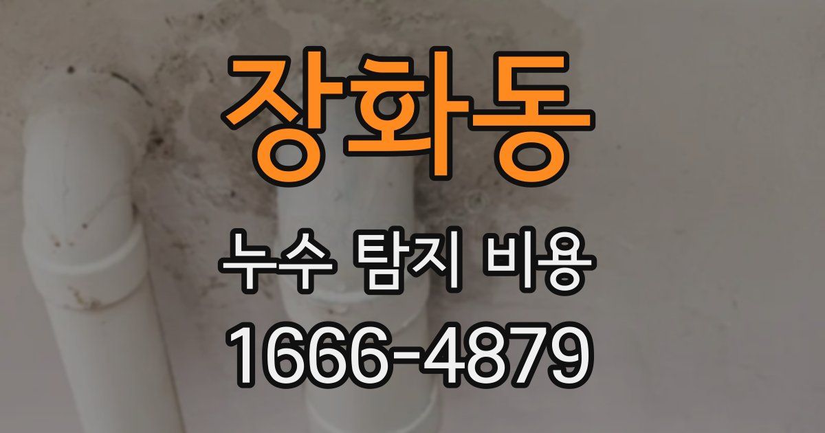 장화동 누수 탐지 비용