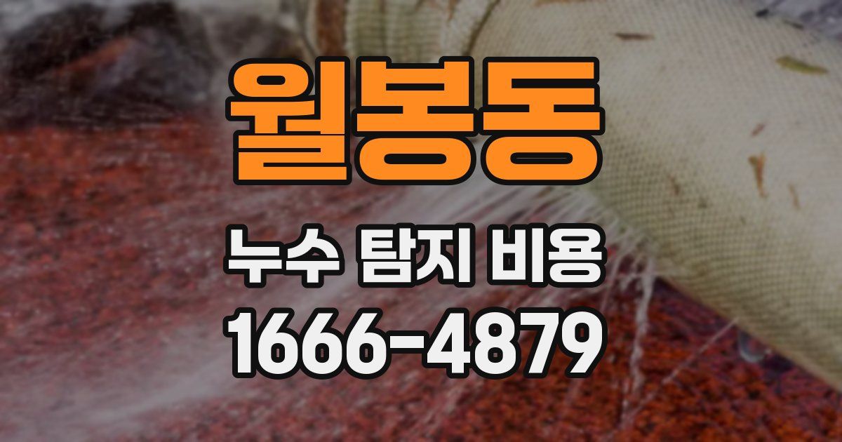 월봉동 누수 탐지 비용