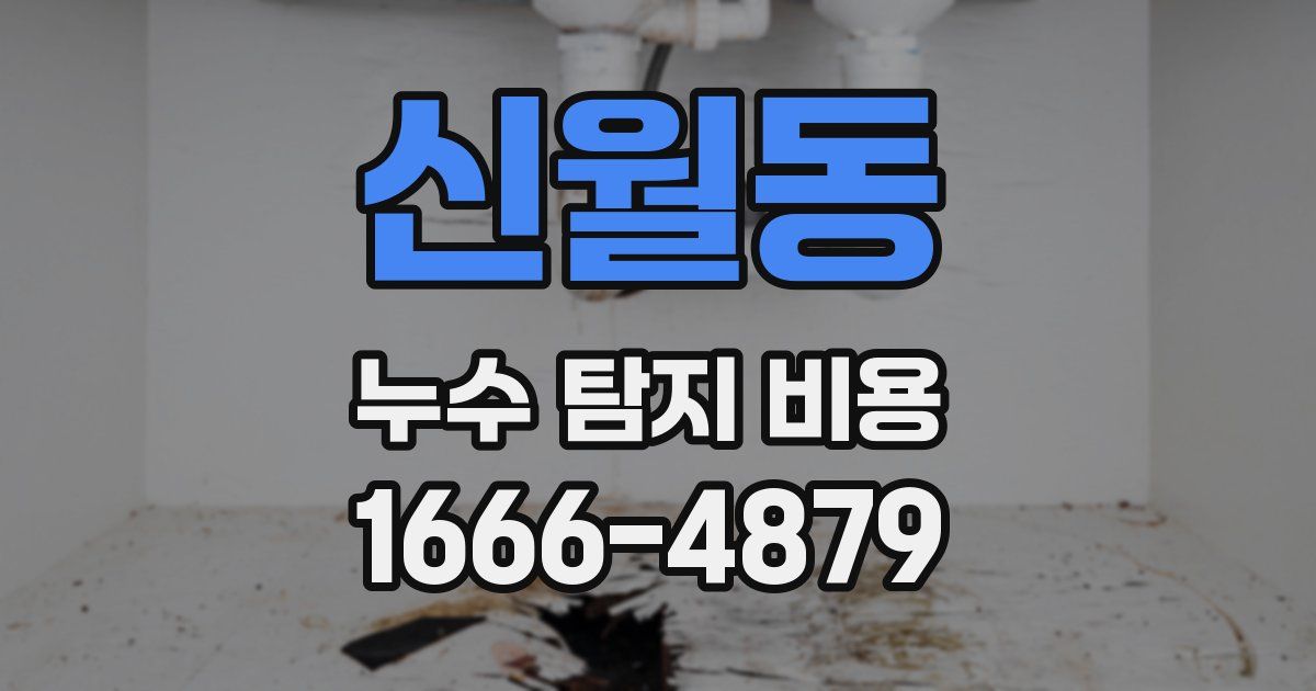 신월동 누수 탐지 비용