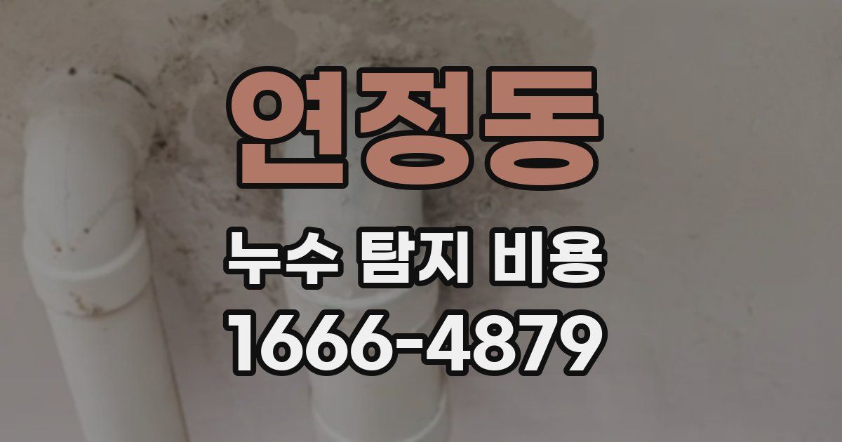 연정동 누수 탐지 비용
