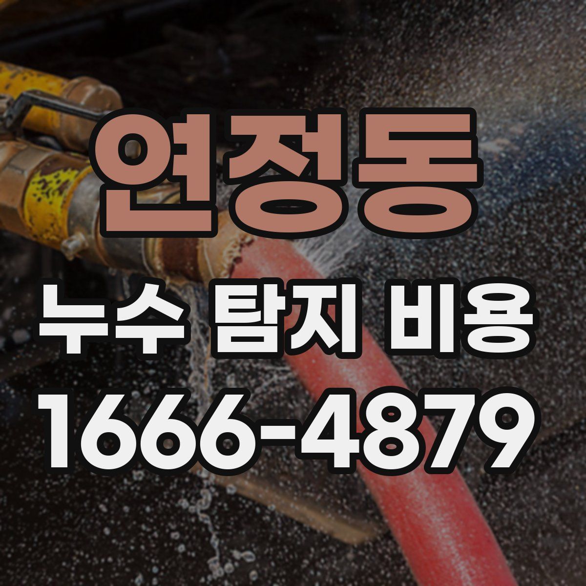 연정동 누수 탐지 비용