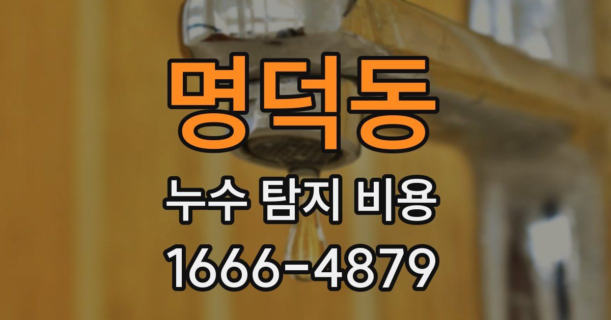 명덕동 누수 탐지 비용