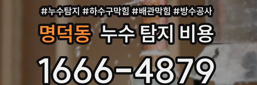 명덕동 누수 탐지 비용