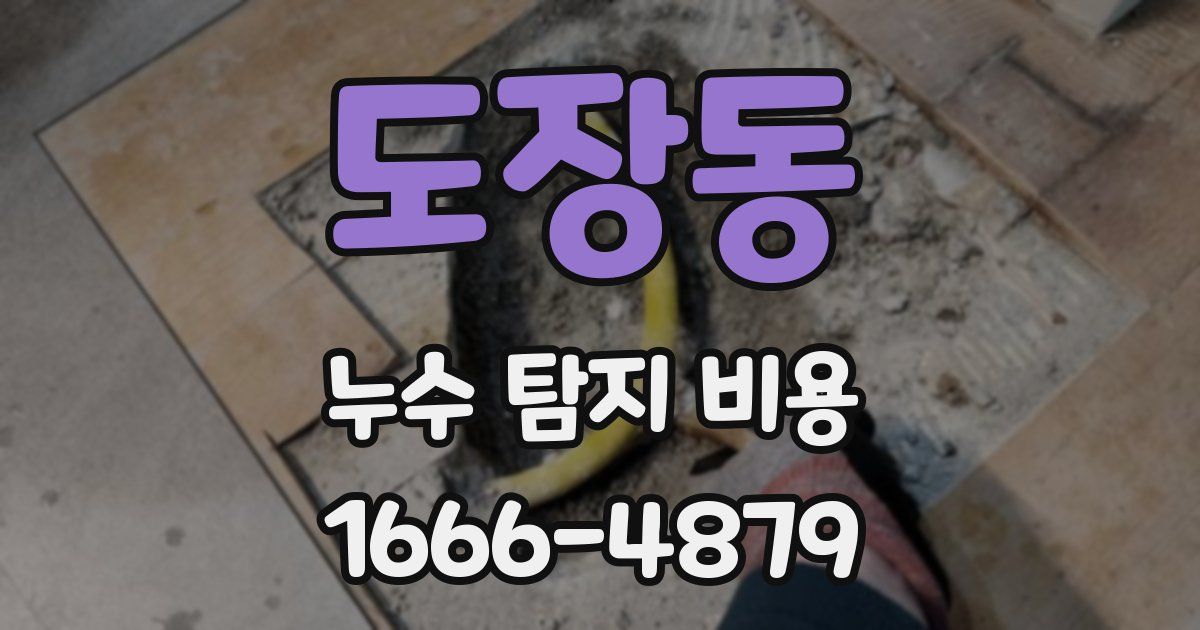 도장동 누수 탐지 비용