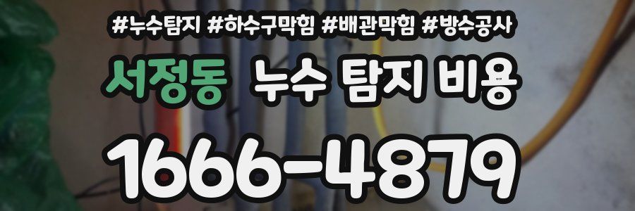 서정동 누수 탐지 비용