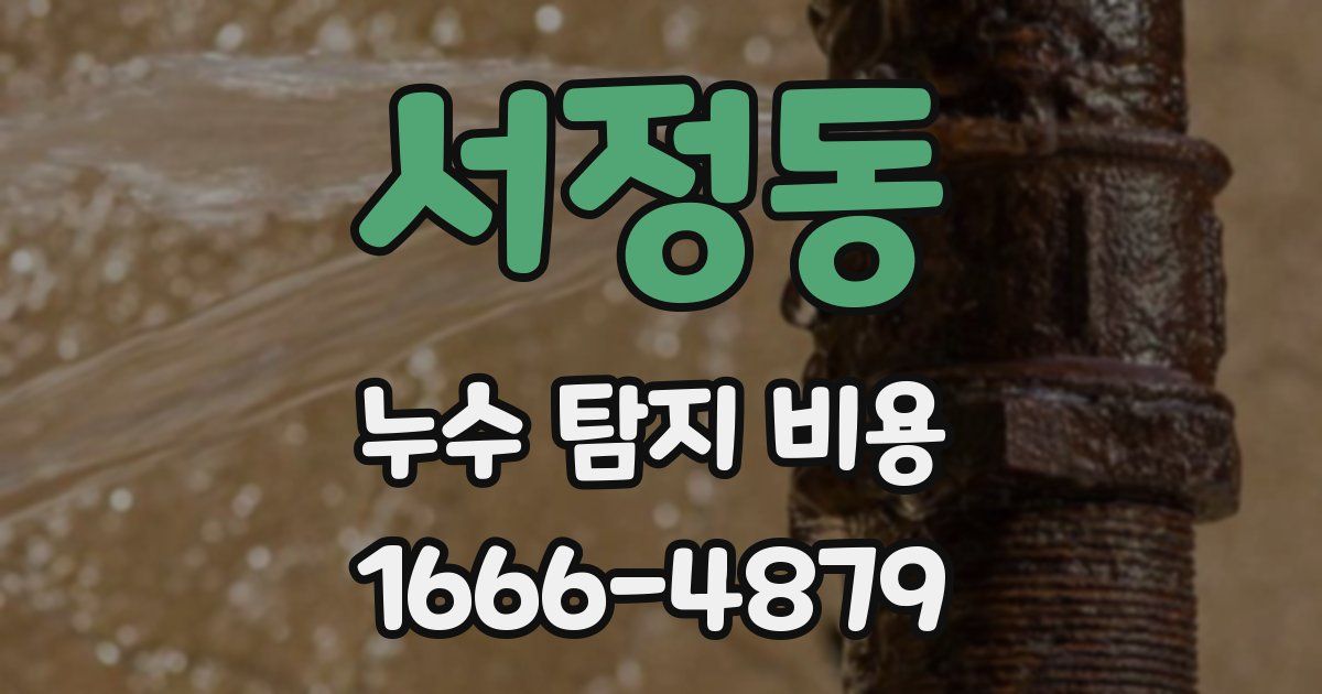 서정동 누수 탐지 비용