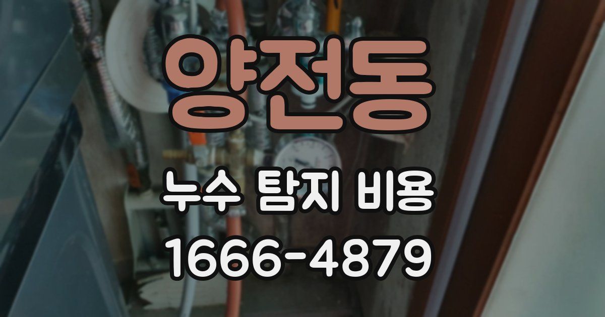 양전동 누수 탐지 비용