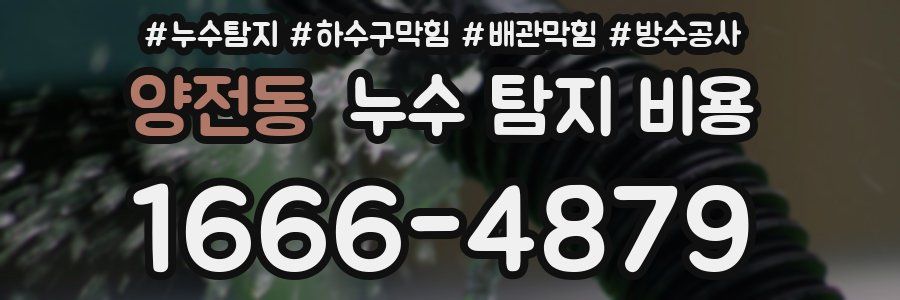 양전동 누수 탐지 비용