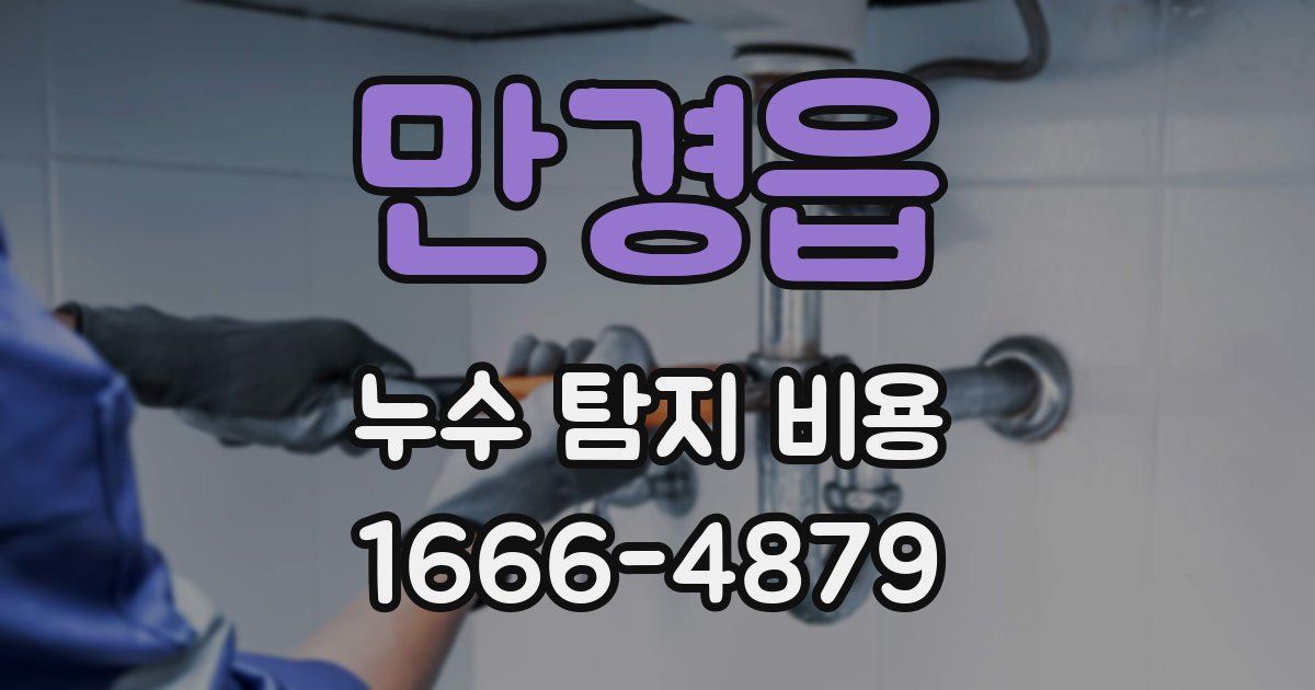 만경읍 누수 탐지 비용
