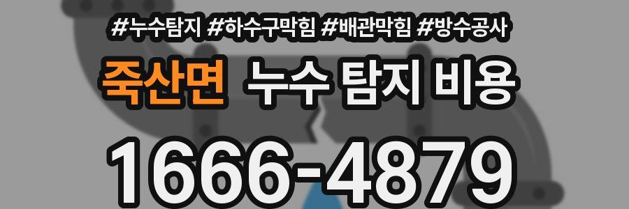 죽산면 누수 탐지 비용