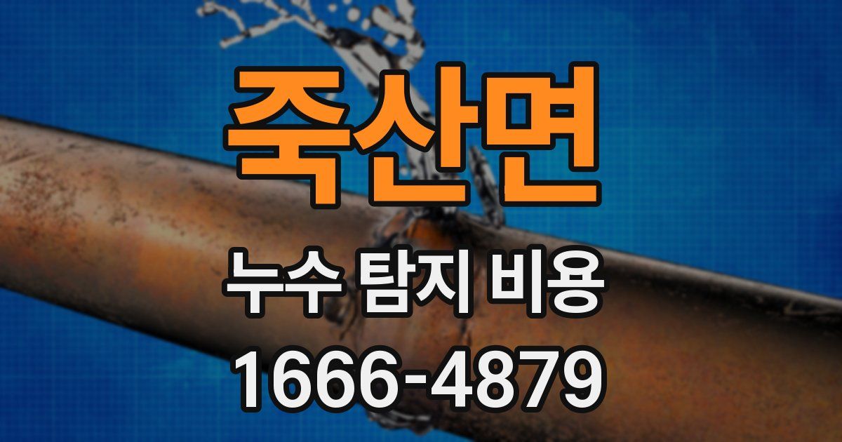 죽산면 누수 탐지 비용