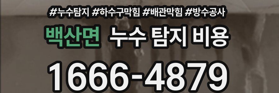 백산면 누수 탐지 비용