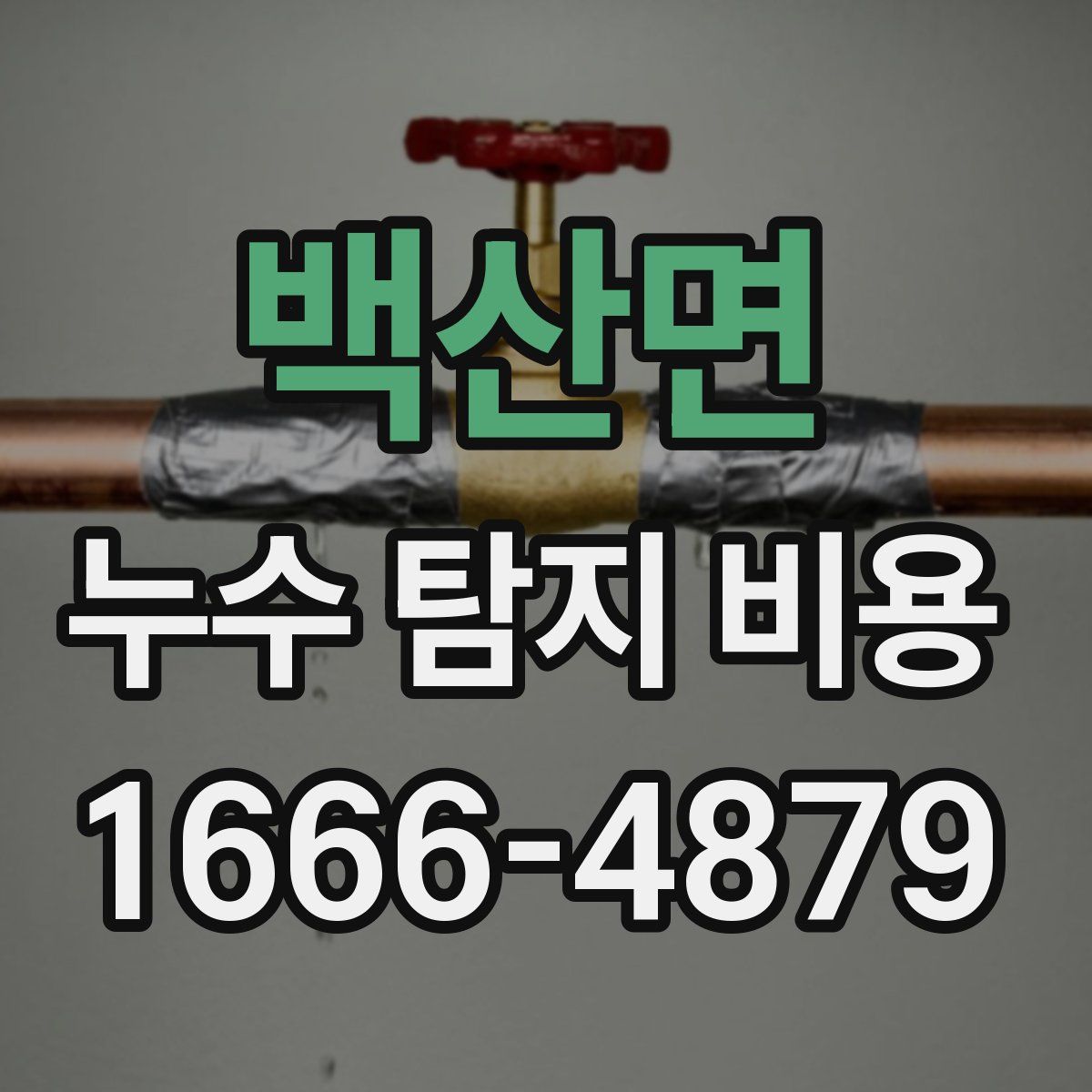 백산면 누수 탐지 비용