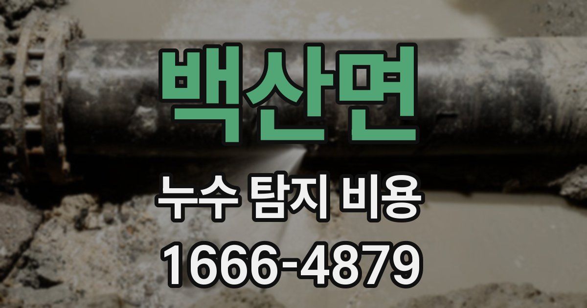 백산면 누수 탐지 비용