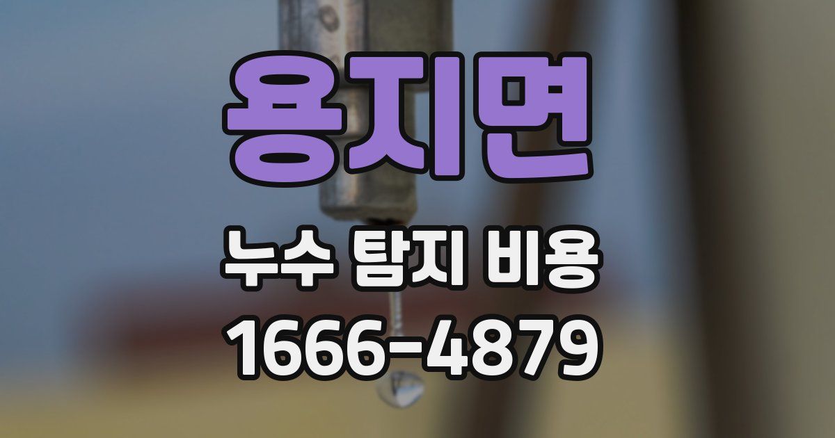 용지면 누수 탐지 비용
