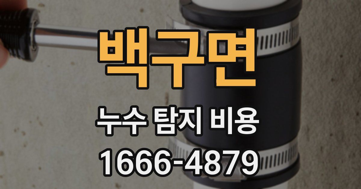백구면 누수 탐지 비용
