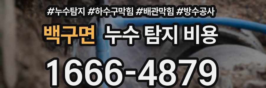 백구면 누수 탐지 비용