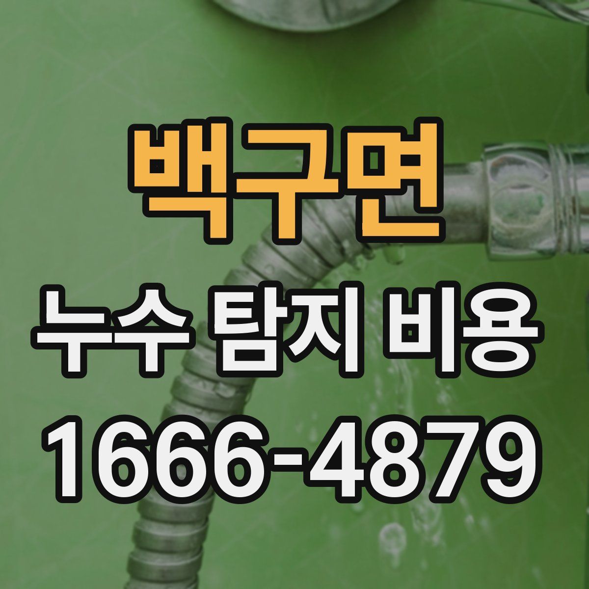 백구면 누수 탐지 비용