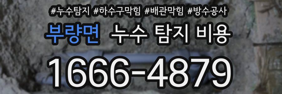 부량면 누수 탐지 비용