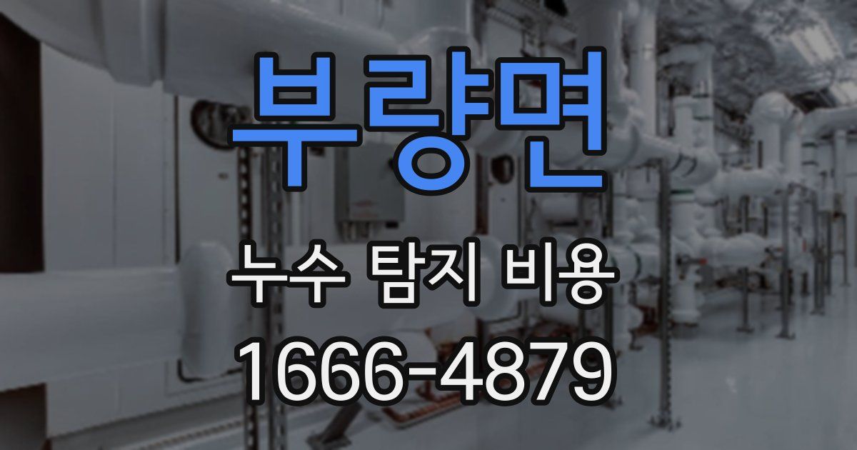 부량면 누수 탐지 비용