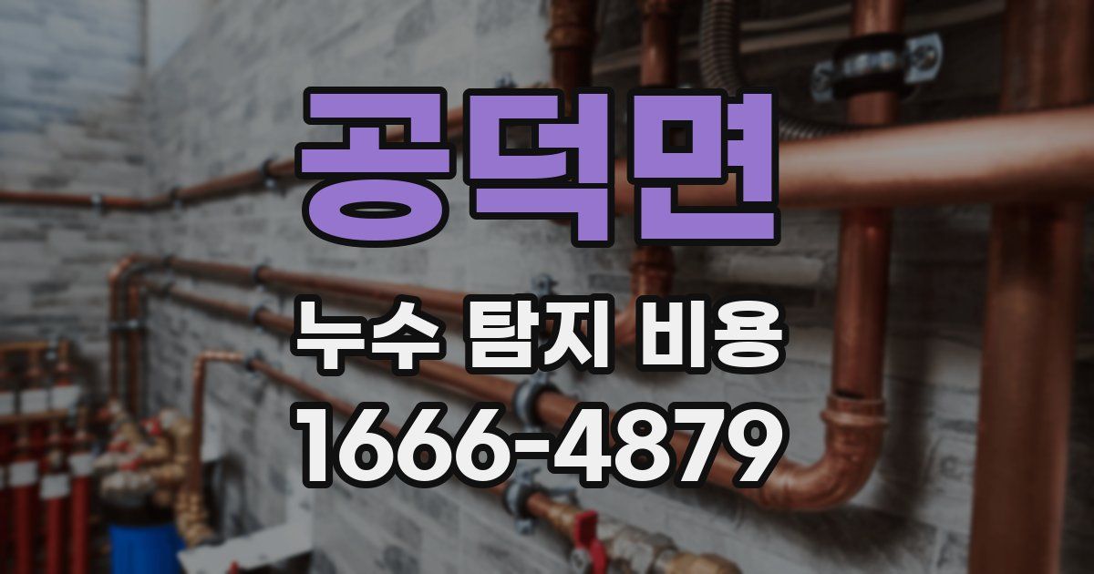 공덕면 누수 탐지 비용