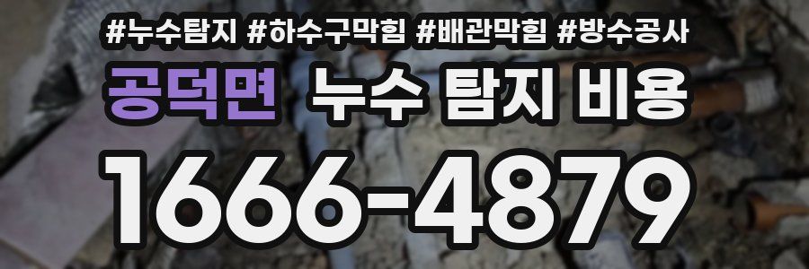공덕면 누수 탐지 비용
