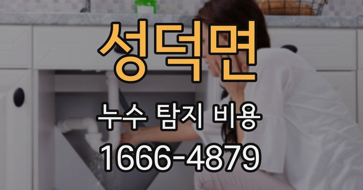 성덕면 누수 탐지 비용