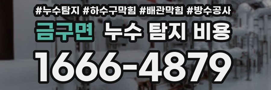 금구면 누수 탐지 비용
