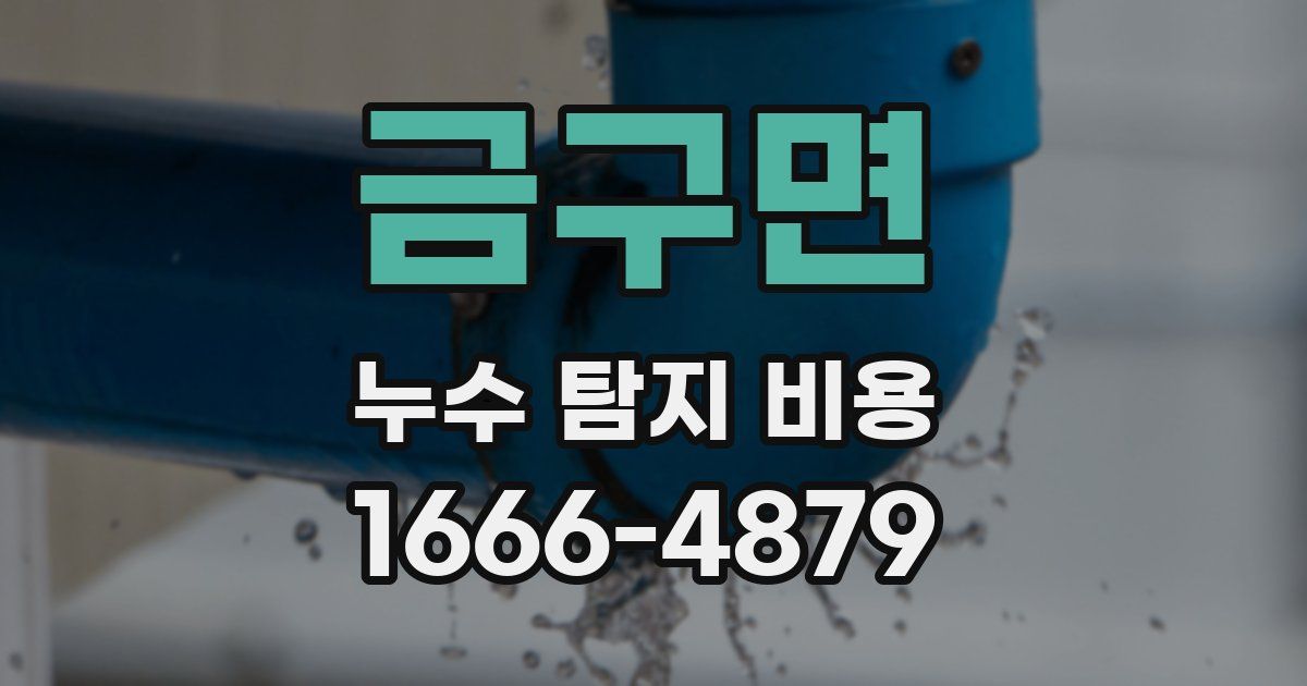 금구면 누수 탐지 비용