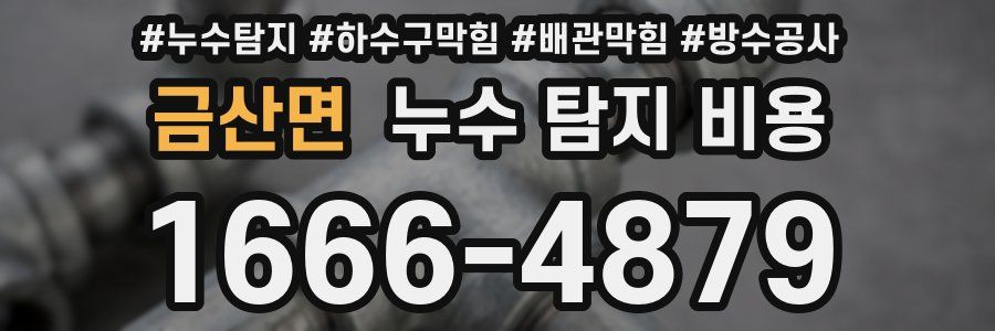금산면 누수 탐지 비용