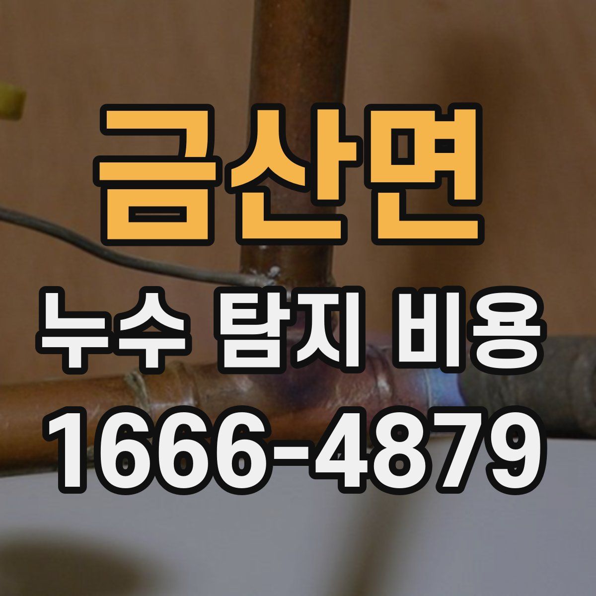 금산면 누수 탐지 비용