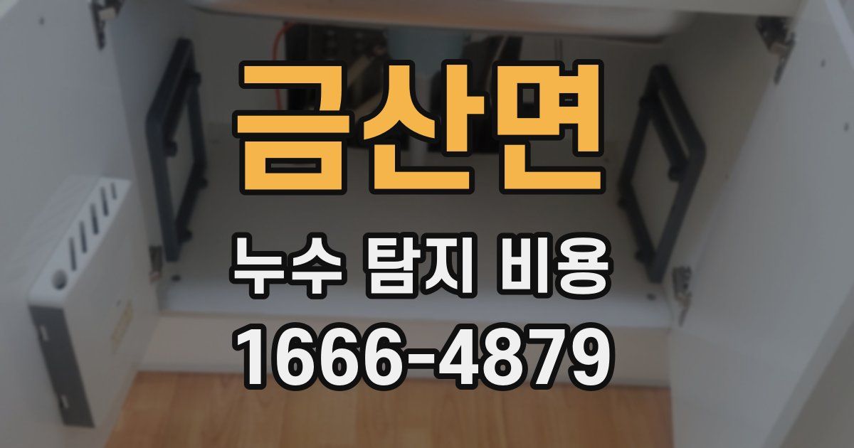 금산면 누수 탐지 비용