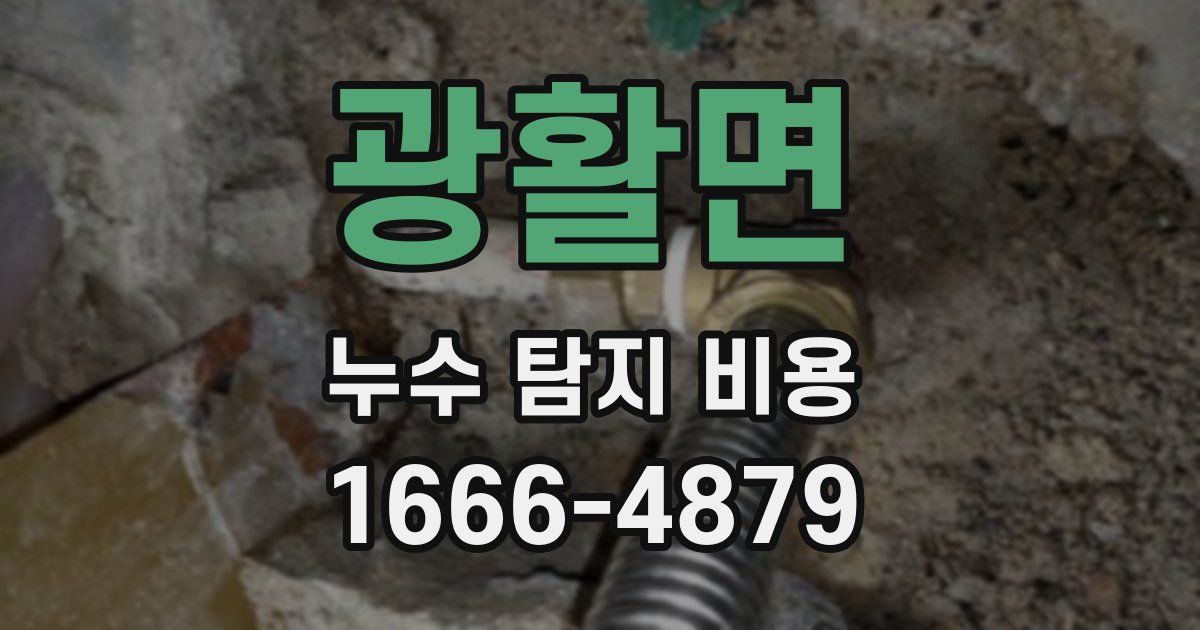 광활면 누수 탐지 비용