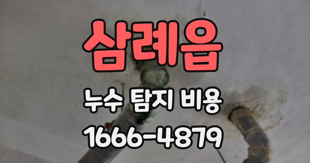 삼례읍 누수 탐지 비용